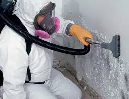 Best Mold Prevention Services  in Greenwood, AR